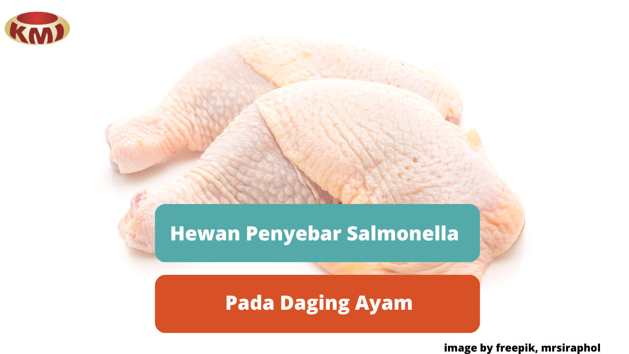Berikut Beberapa Hewan Agen Penyebar Salmonella Pada Daging Ayam